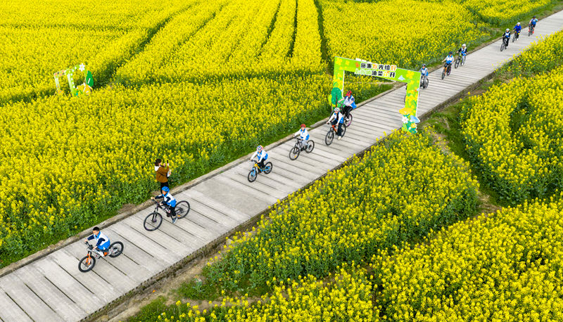 騎行愛好者在貴州省黔東南苗族侗族自治州施秉縣城關鎮上翁哨村油菜花田間騎行。