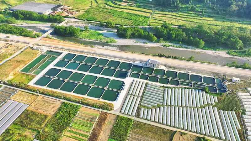 6.全省最大單體冷水魚養殖基地。.jpg