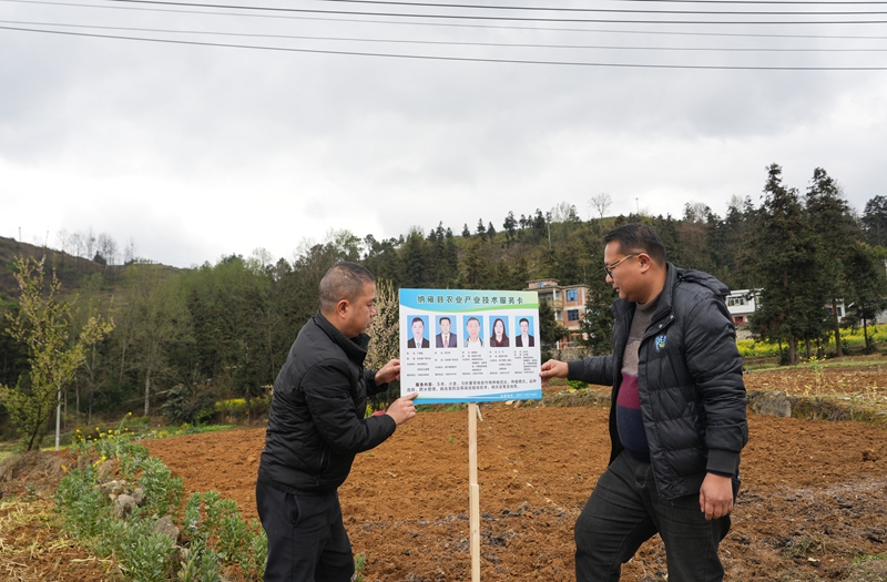 2026年3月18日,貴州省畢節市納雍縣玉龍壩果幾蓋社區馬鈴薯種植基地,縣農業農村局工作員在安裝農業產業技術服務卡。 楊英 攝.jpg
