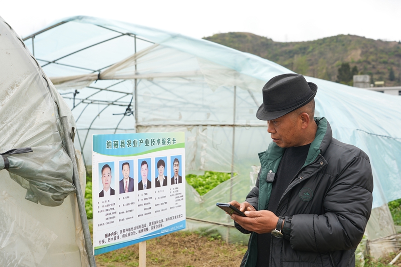 2026年3月18日,貴州省畢節市納雍縣玉龍壩果幾蓋社區大棚蔬菜基,基地負責人在撥打農業產業技術服務卡上技術員電話,咨詢虫害解決辦法。 楊英 攝.jpg