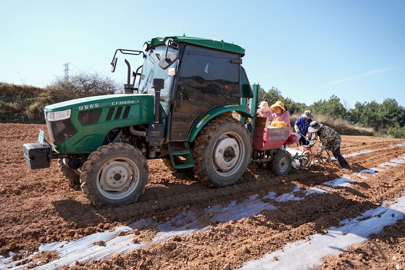 3月19日，在秀水鎮華豐村馬鈴薯全程機械化種植基地，馬鈴薯一體化播種機正在播種馬鈴薯。蔡脒攝