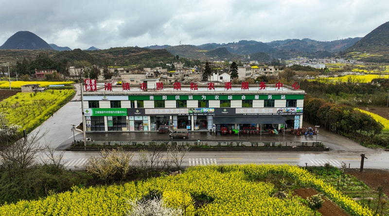 清鎮市黔頌耘農事服務中心。陸勁鬆 攝 (2)