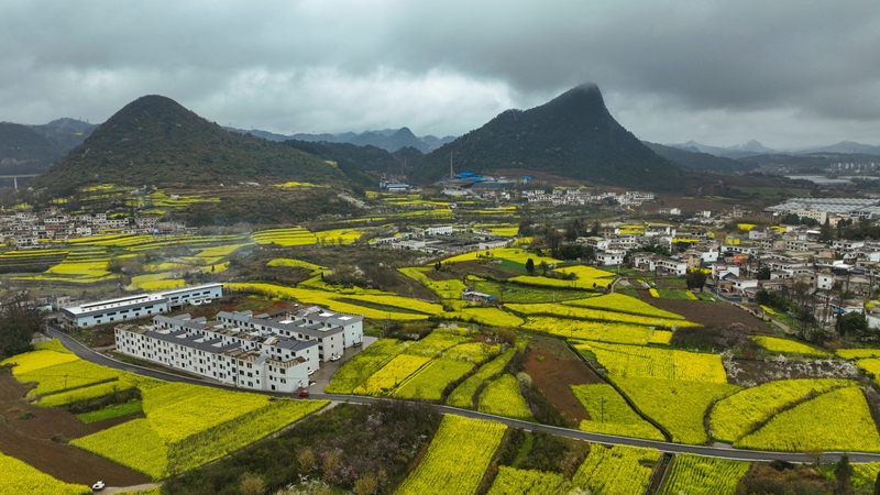 衛城鎮犀牛村一隅。陸勁鬆 攝
