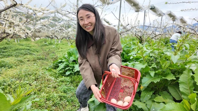 農事體驗活動現場。