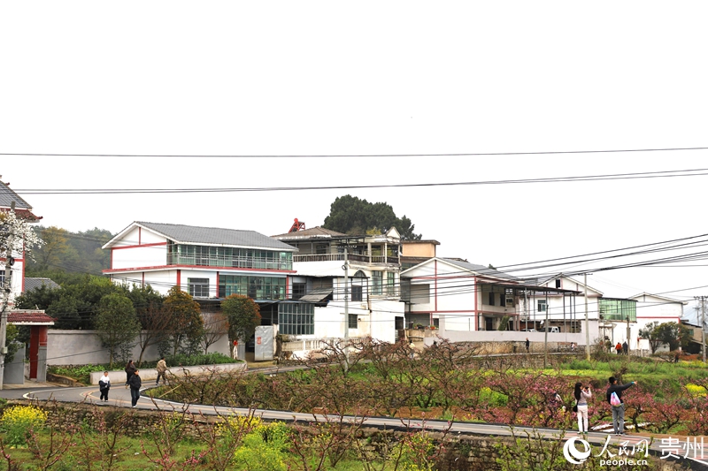 永乐乡白墙黛瓦的民居与桃林赛道相映。人民网 龙章榆 摄