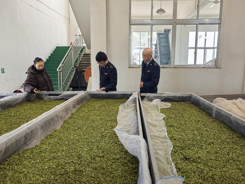 (图四 税务干部了解茶青品质并讲解农产品收购发票开具涉税事项)