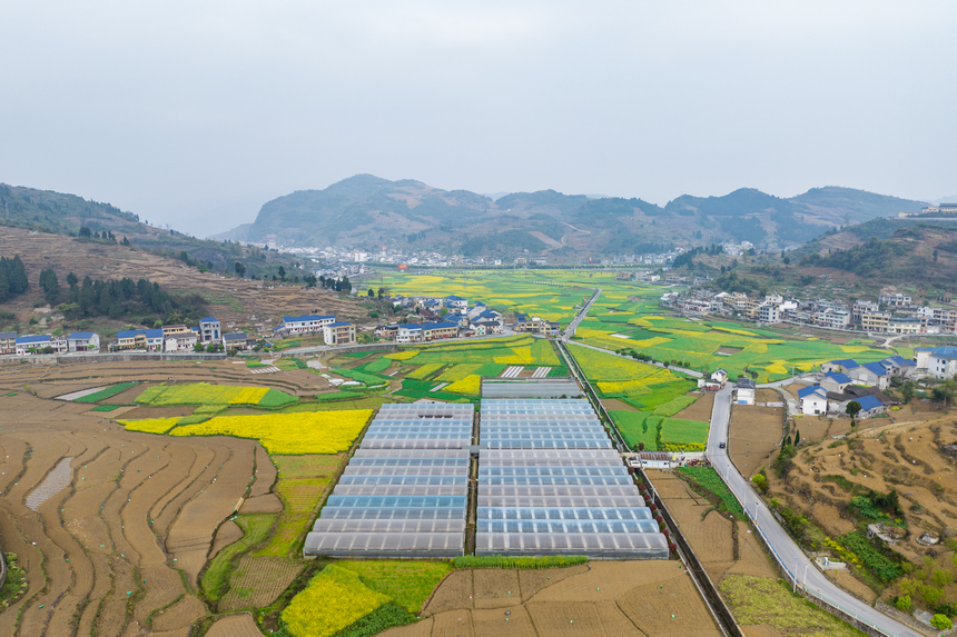 航拍贵州省仁怀市茅坝镇官院村。人民网记者 涂敏摄