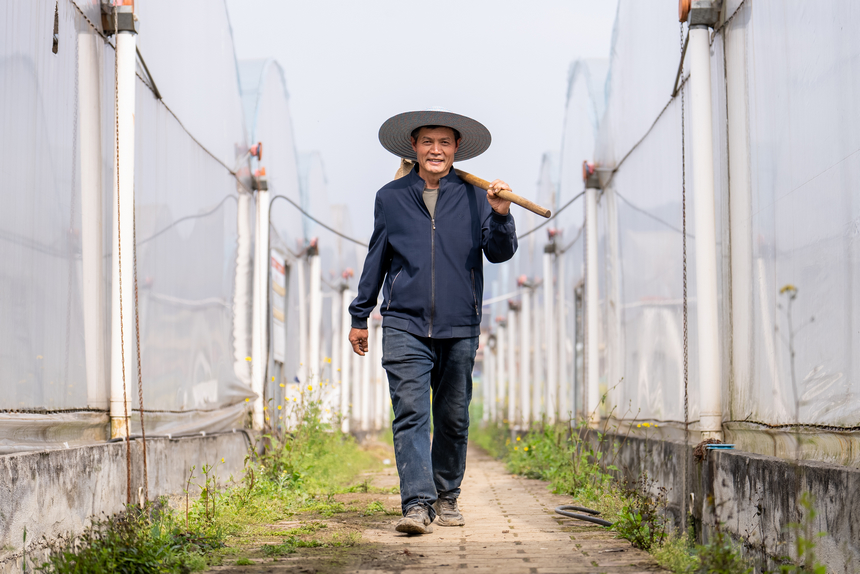 工人正前往大棚内铺设滴灌管道。人民网记者 涂敏摄