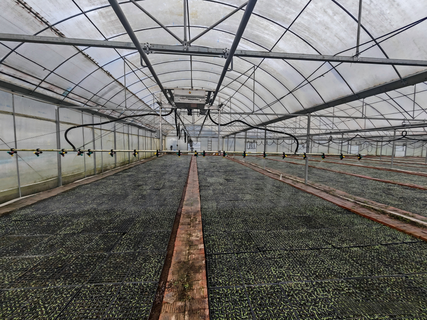 轨道式喷淋设备就位，守护烤烟育苗春耕生产。谢永恒摄