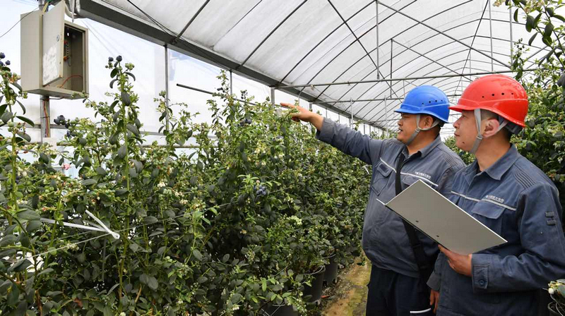 工作人員幫客戶檢查線路。