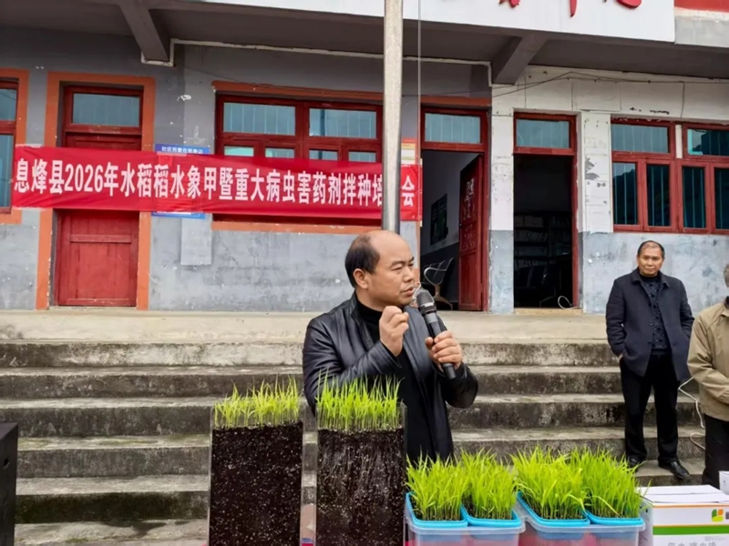 农技人员现场讲解.jpg