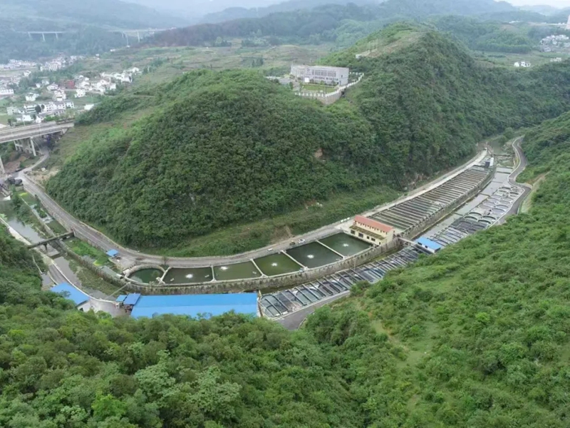 贵州水之源新农业科技发展有限公司.jpg