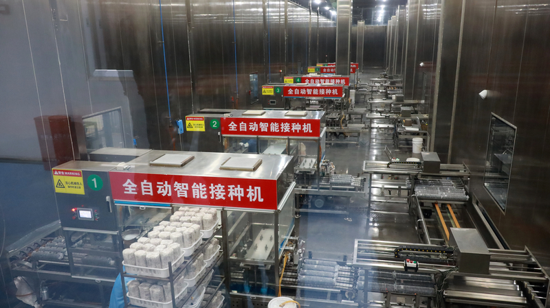 深入黔山菌業香菇生產基地了解生產用電情況及香菇生長情況。盧關文攝