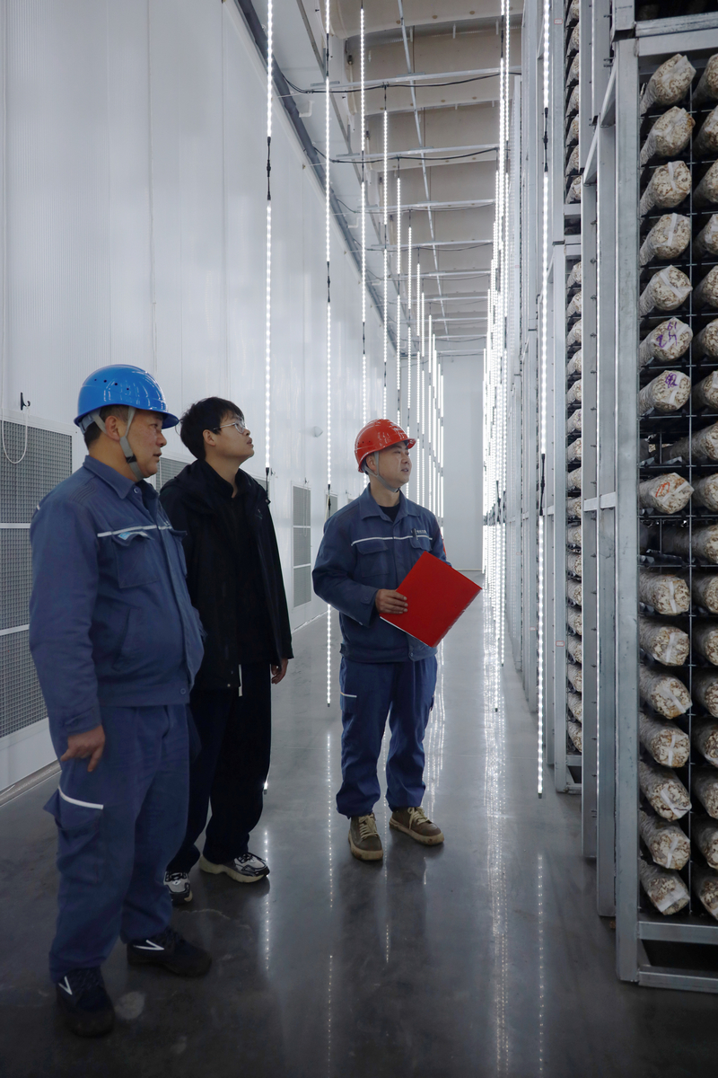 走進菌棒恆溫存儲車間了解用電情況。盧關文攝