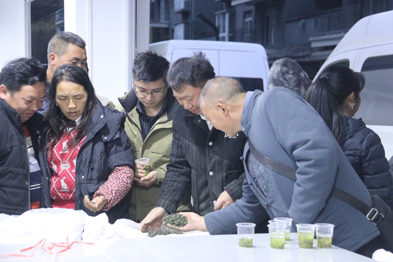 小茶芽铺就富民路。