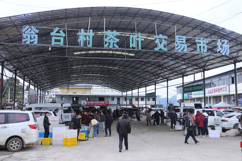 小茶芽铺就富民路。