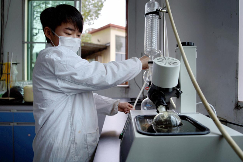 做强特色单品 壮大产业集群 特色农业跑出加速度。