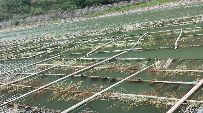 利用原生态材料建立的生态“产房”。税会静摄