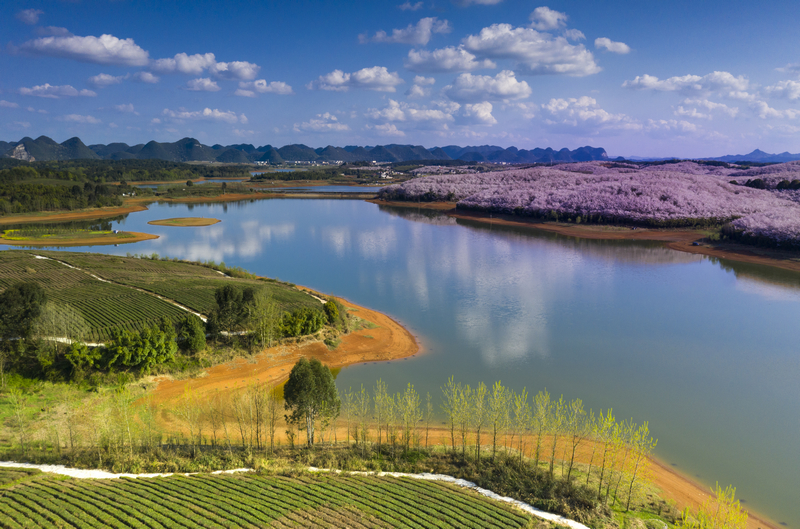 翠绿、粉白和湖蓝,清镇红枫湖畔的一方美景。关鸿琦摄