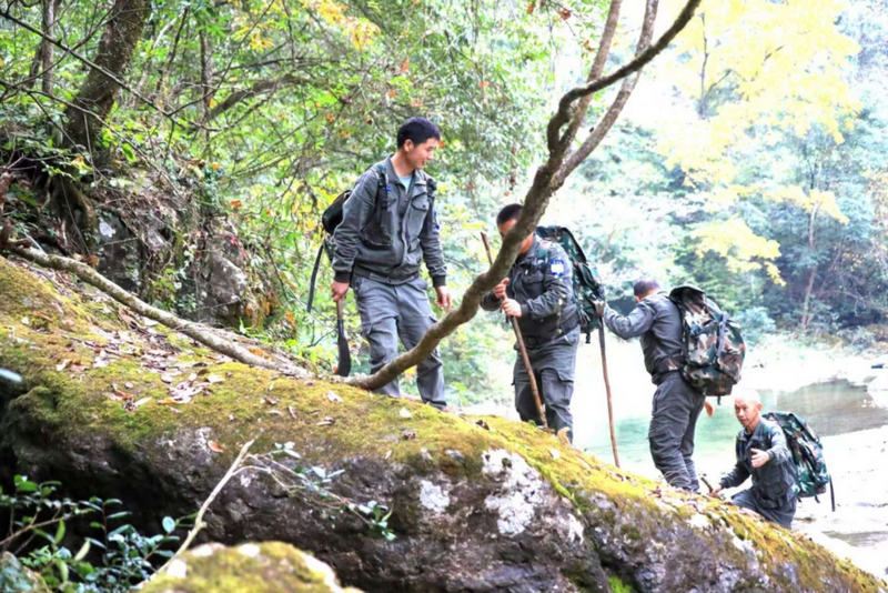 守护梵净山：百余名护林员“携手”电子保安共筑绿色屏障(图1)