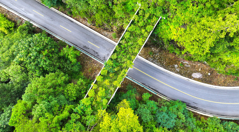 守护梵净山：百余名护林员“携手”电子保安共筑绿色屏障(图2)