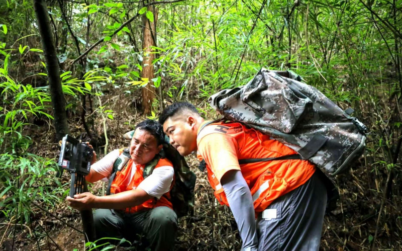 守护梵净山：百余名护林员“携手”电子保安共筑绿色屏障(图4)