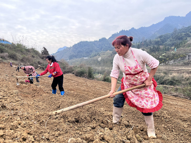 项目建设正当时 产业交通双线发力。