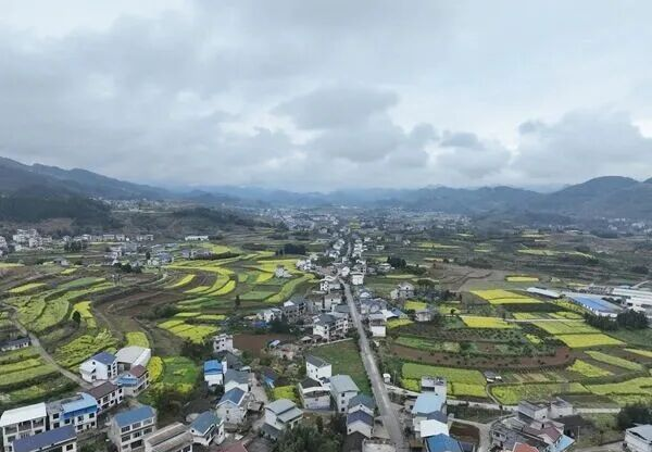贵州松桃:一域“青山”美 全域乡村兴。