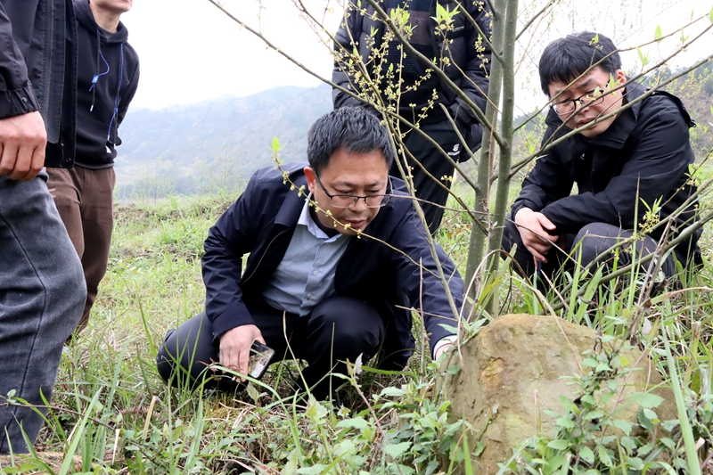 贵州省农科院专家为独山学庄村木姜子产业探寻高产之路。