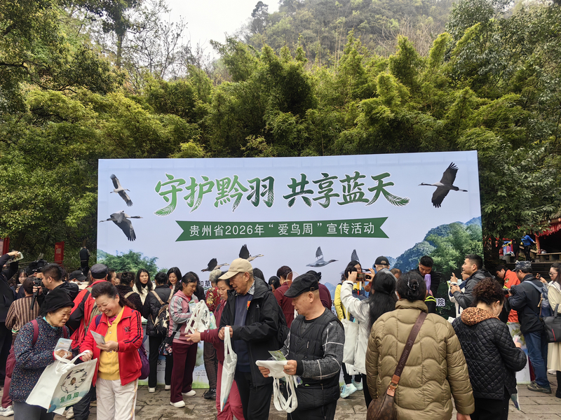活动现场。