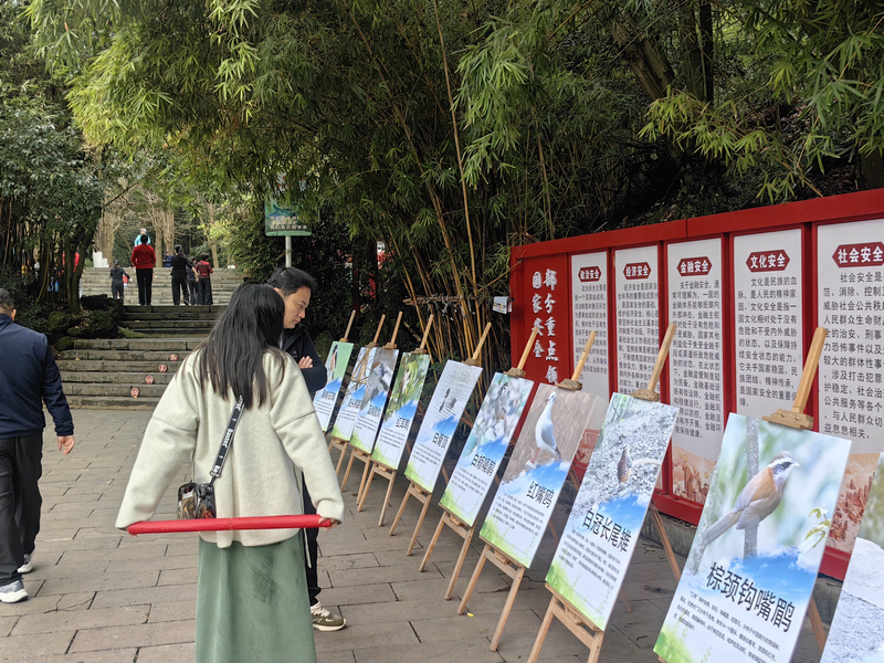 观看展板。
