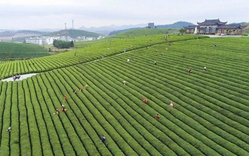 贵州松桃：学思践悟强初心 真抓实干惠民生。
