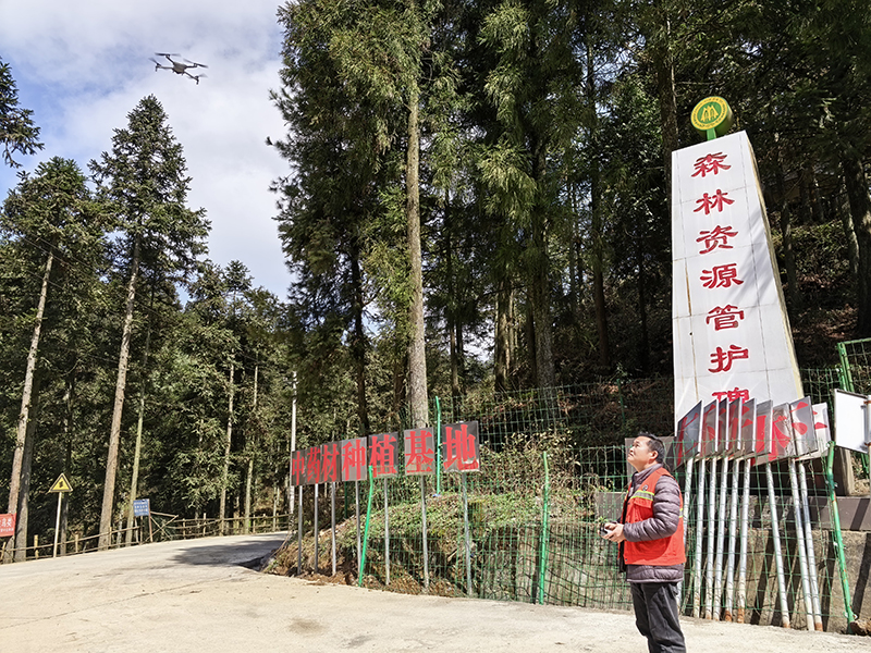 在喜头镇的国有奶子山林场，工作人员正操控无人机开展空中巡护，与地面护林员形成空地联动，构建立体化防火防控体系。