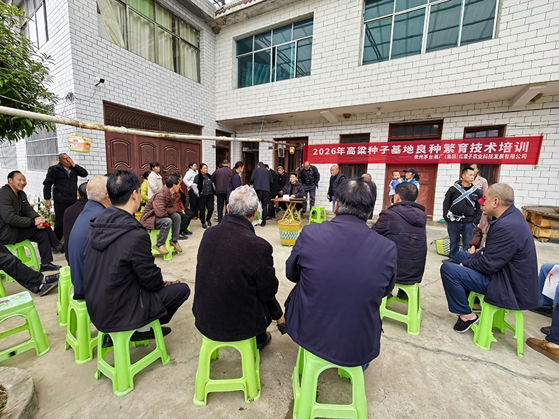 领种子现场。