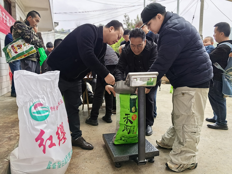 种子称重。