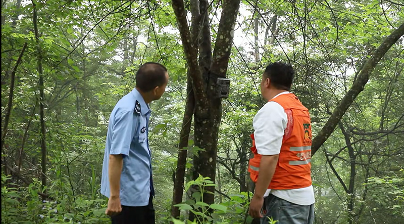 图为执法人员在梵净山保护区安装红外摄像机。 梵管局供图