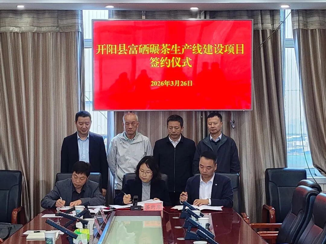 图为：签约仪式