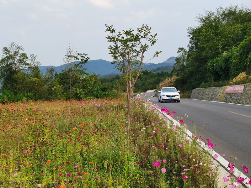 息烽县青山苗族乡马路岩段公路.jpg
