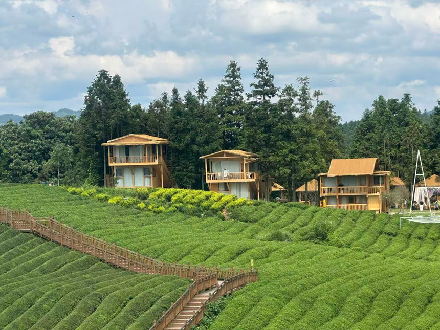 贵州黎平入选全国茶乡旅游精品线路。