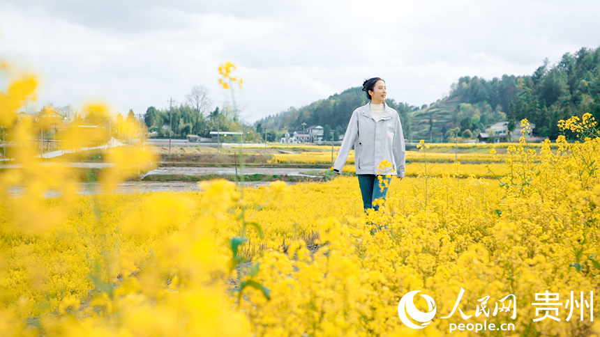 盛开的油菜花。人民网记者 涂敏摄