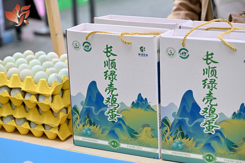 8长顺绿壳鸡蛋.jpg