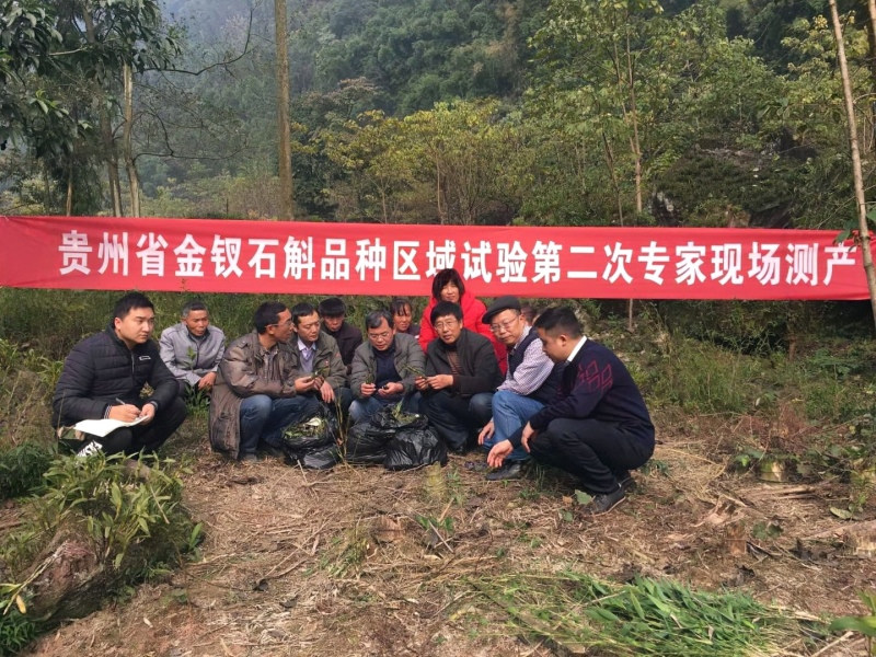 专家团队走进田间地头。