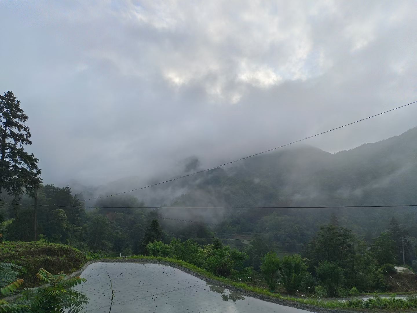 双山村自然风貌。