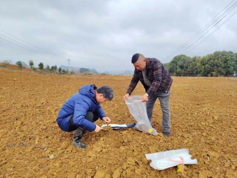 土肥所周玮取土壤样本用于化验检测。.jpg