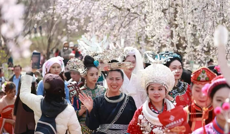 北京玉渊潭樱花节上演贵州非遗“连连看”。