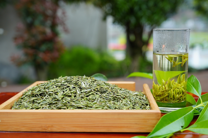 茶叶现场泡茶。.jpg