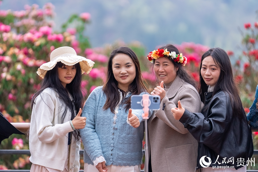 游客在盛开的杜鹃花前打卡拍照。人民网记者 涂敏摄