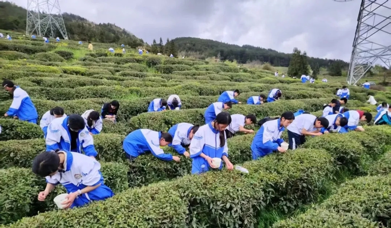 活动现场。
