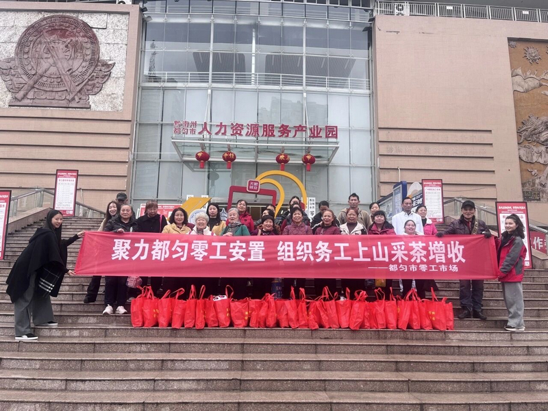 都匀市零工市场组织群众开展采茶务工。