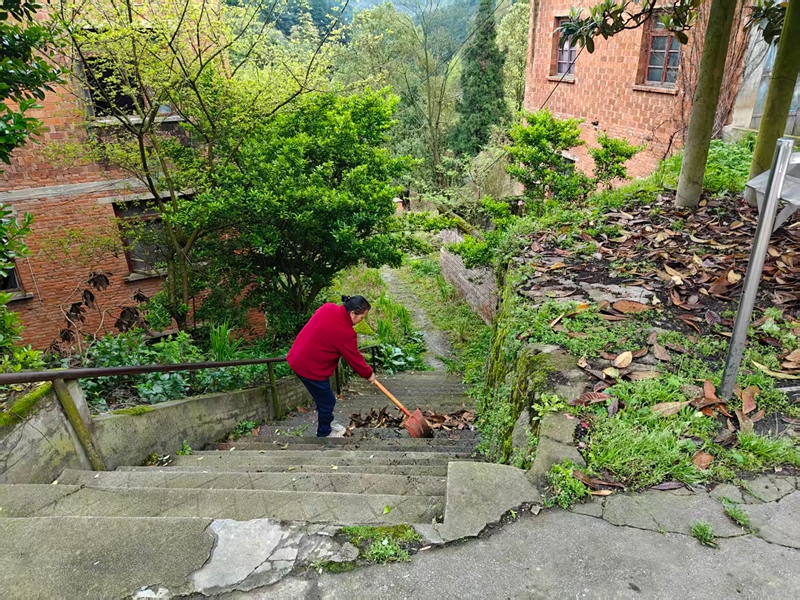 清扫道路上的落叶.jpg
